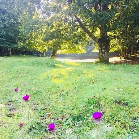 Сasa de vacaciones Il Bosco