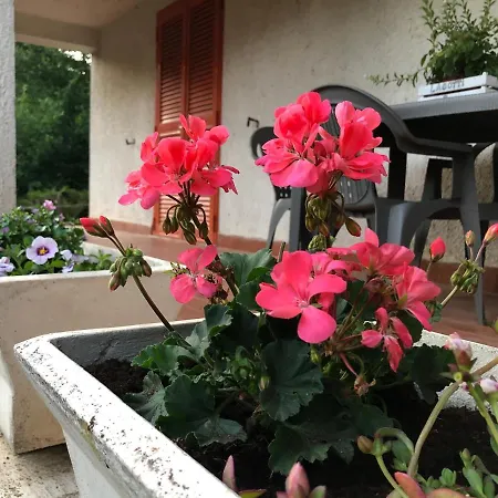 Holiday home Il Bosco Subiaco