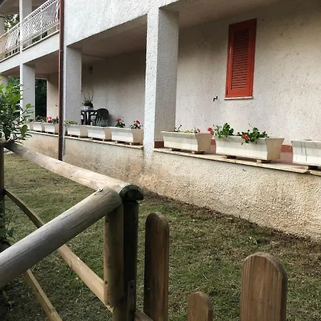 Il Bosco *