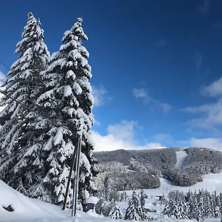 Il Bosco Casa de Férias Subiaco