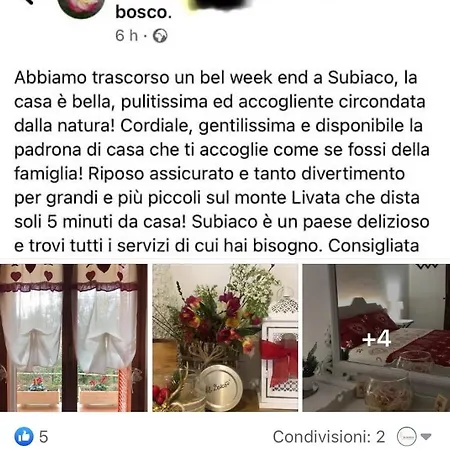 Il Bosco