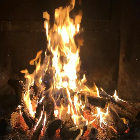 Il Bosco