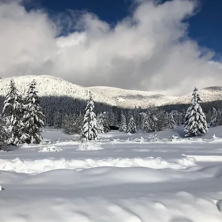 Сasa de vacaciones Il Bosco Subiaco
