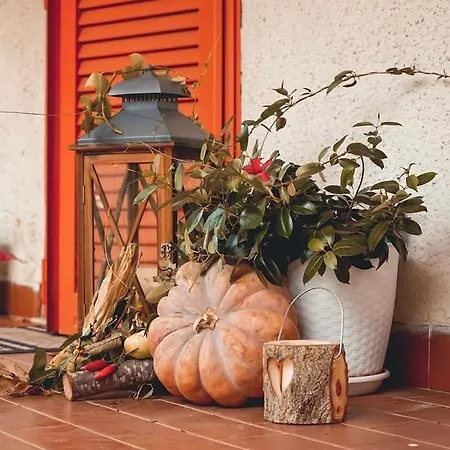 Il Bosco Holiday home