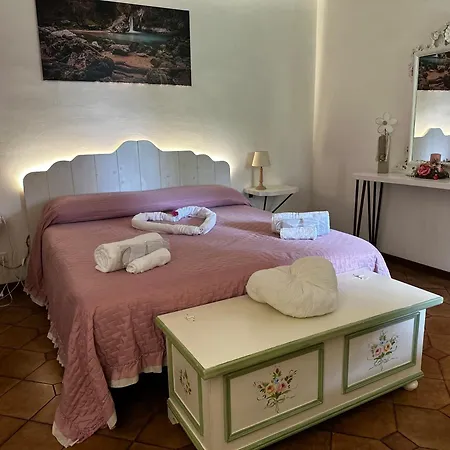 Il Bosco E Il Borgo
