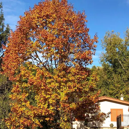 Il Bosco Holiday home Subiaco