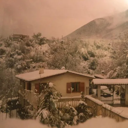 Il Bosco *
