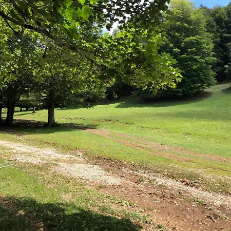 Il Bosco * Subiaco
